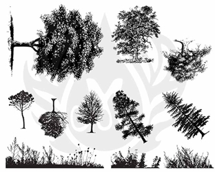 Botanical - Trees 