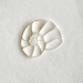 1.5cm Nautilus - MKM-Scs-021