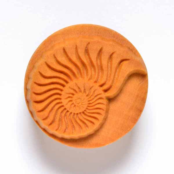 4 cm Nautilus 