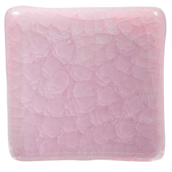 Arctic Blush 