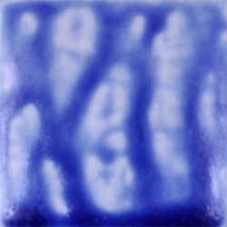BLUEBERRY ASH          2 