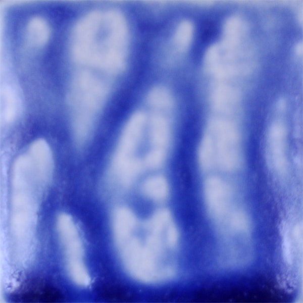 BLUEBERRY ASH          2 