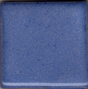 Blue Cornflower 