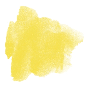 Bright Yellow Moist Cake 