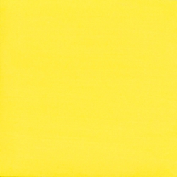 Bright Yellow 