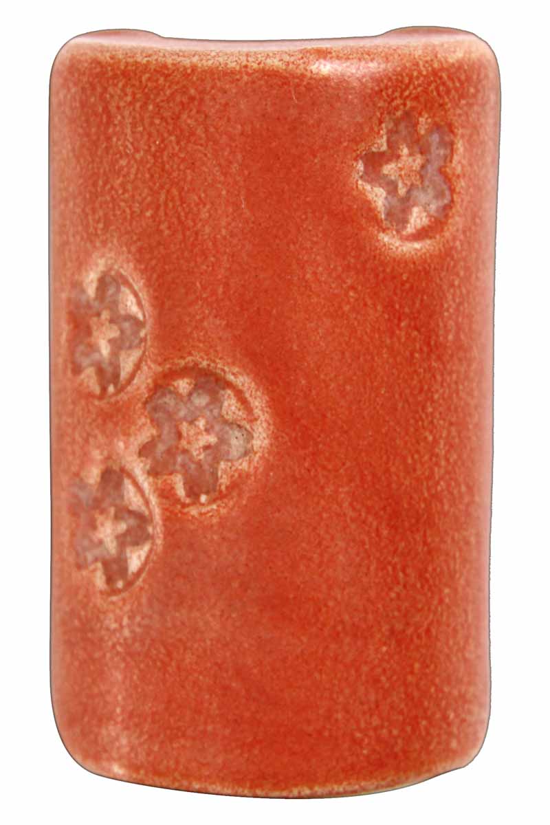 CHERRY SALMON 