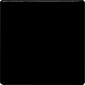 Coal Black 