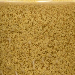 Coriander 