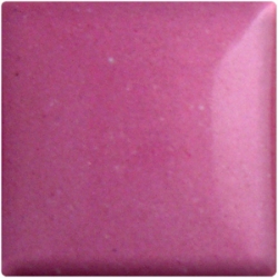 FUSCHIA 