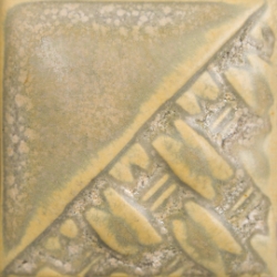 Fossil Rock 