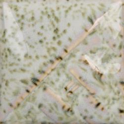 Lily Pad - Coming Soon 