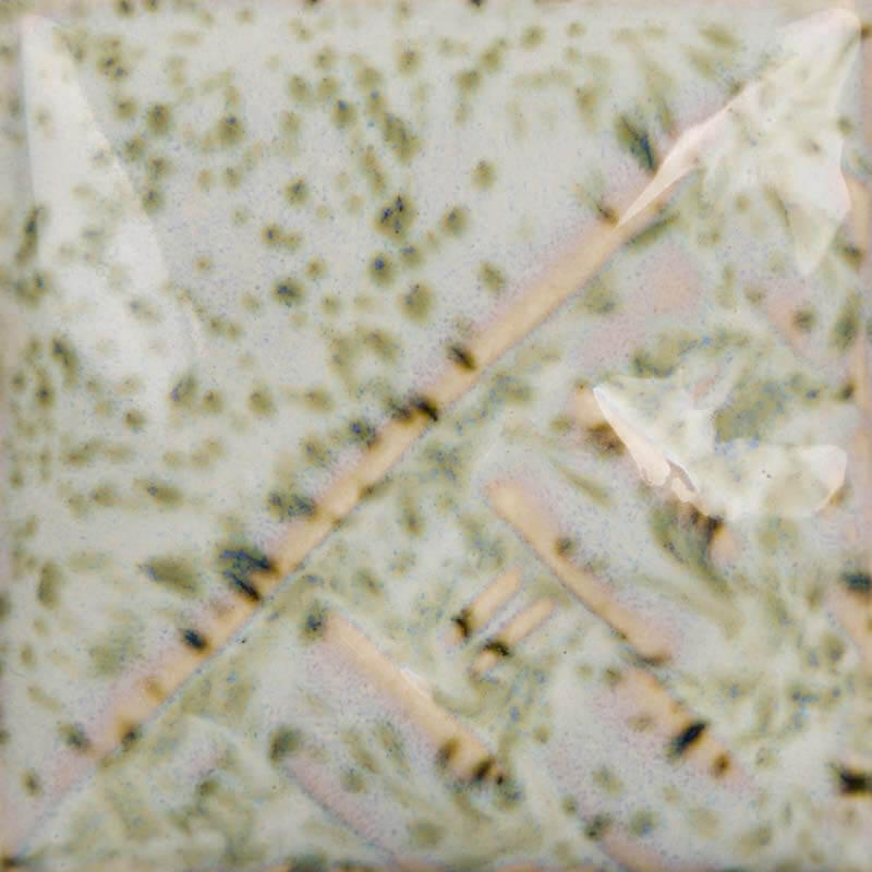 Lily Pad - Coming Soon 