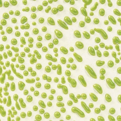 Lime Crawl 