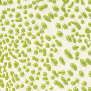 Lime Crawl 