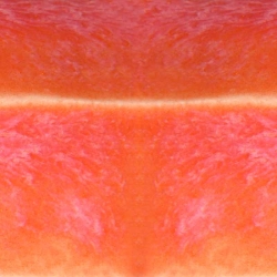 Living Coral 