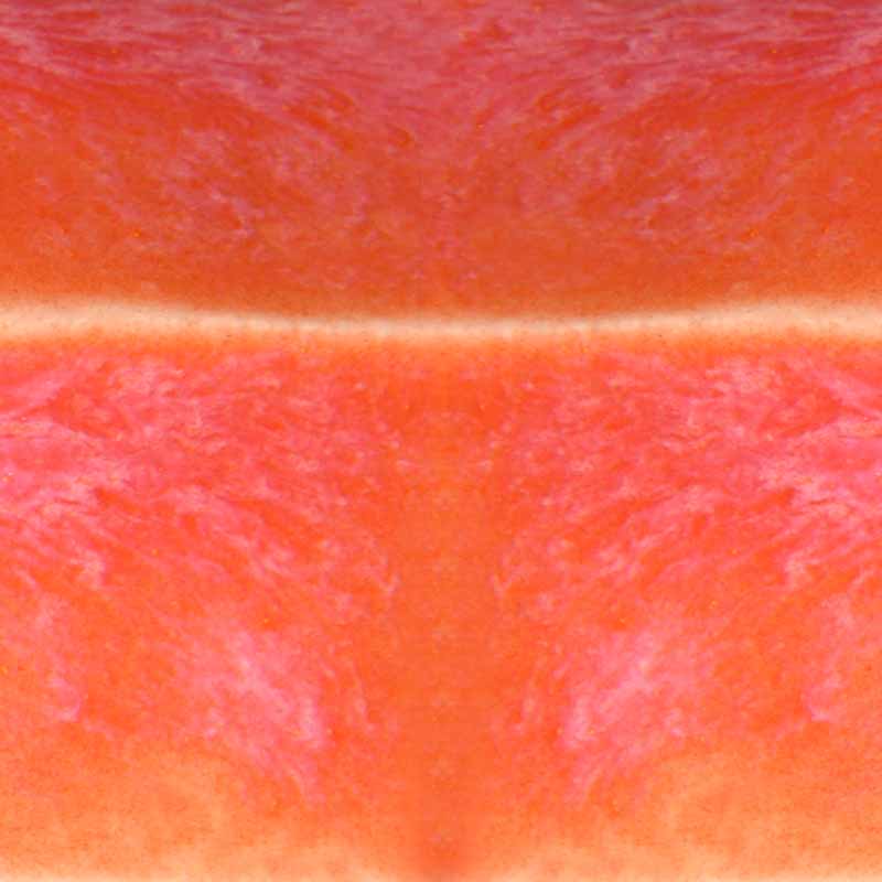 Living Coral 