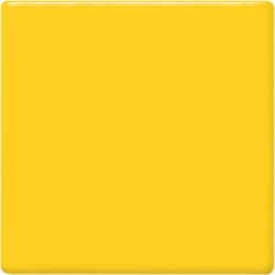 MAIZE 