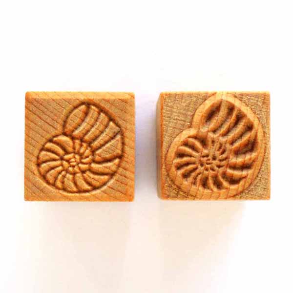 Medium Square #121 Ammonite 