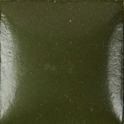 OLIVE M 