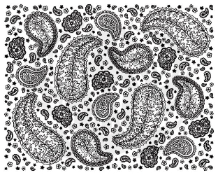 Paisley Full Design 