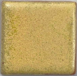 Parakeet Yellow 