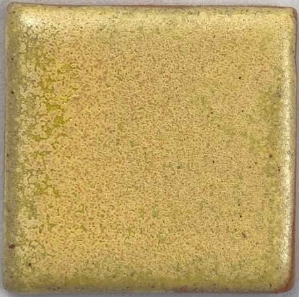 Parakeet Yellow 