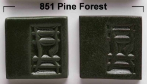 Pine Forest 