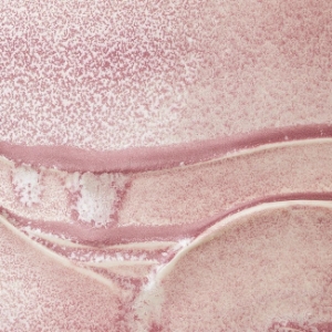 Pink Calcite pink calcite, amaco, amaco - pearlescent, ceramic glaze, pottery glaze, ceramic supplies, pottery supplies, pottery supplies online, GlazeQueen