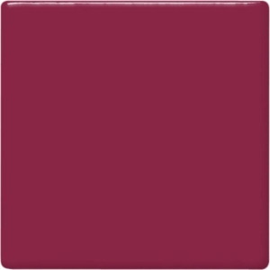 RASPBERRY 