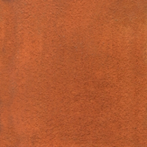Rapid Rust 