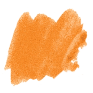 Real Orange Moist Cake 