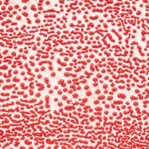 Red Crawl 