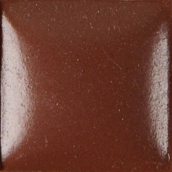 SADDLE BROWN 