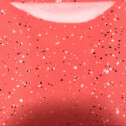 Speckled Cutie Pie Coral  