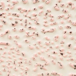Speckled Pink Crawl 