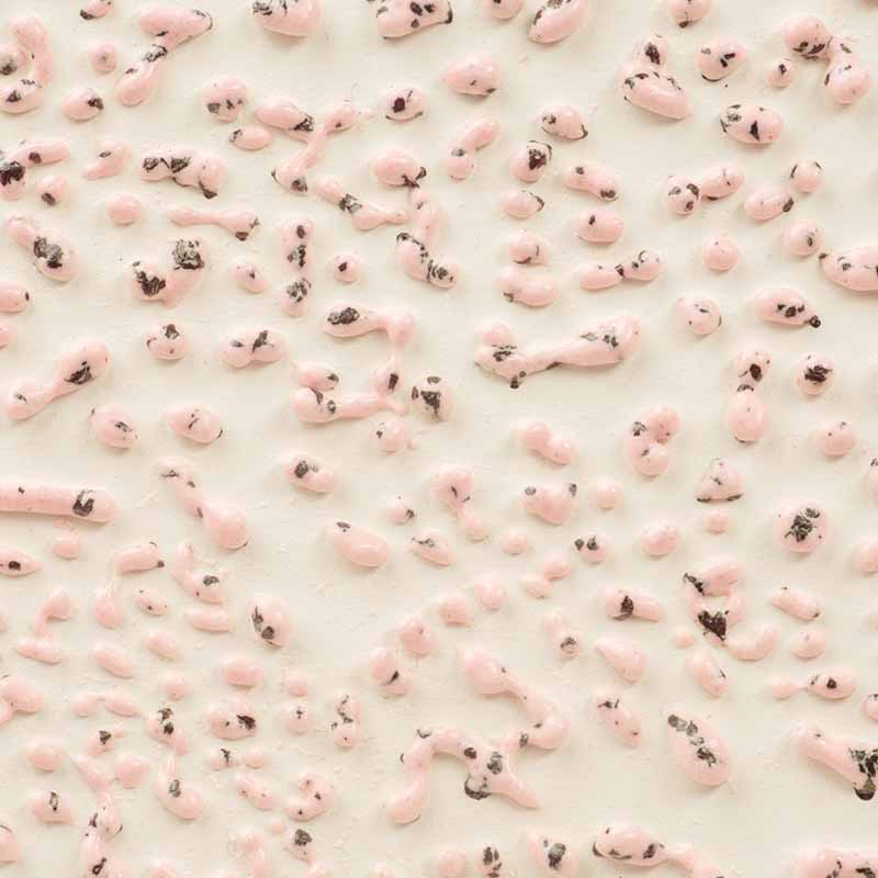 Speckled Pink Crawl 