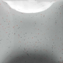 Speckled Silver Lining 