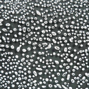 Speckled White Crawl 