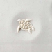 Stamps4Clay 4 cm Sea Turtle - MKM-CT-011
