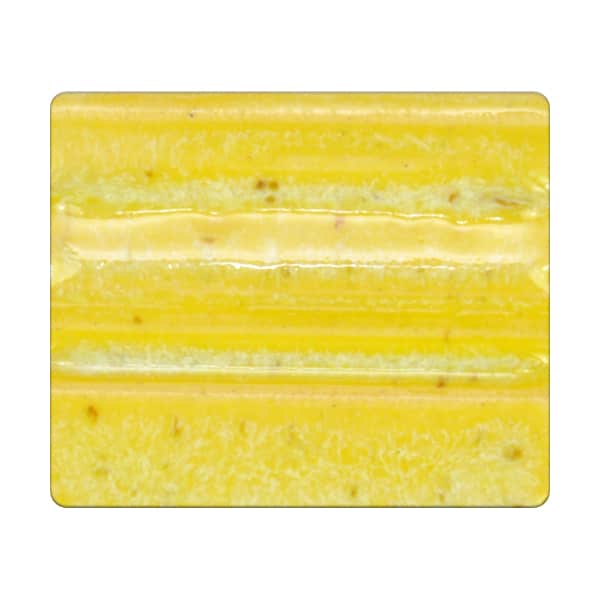 TEXTURE LEOPARD    2 