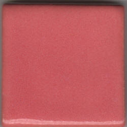 Texas Rose (Pink Overcoat) 
