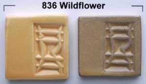 Wildflower 