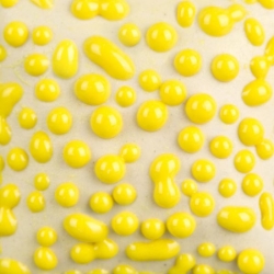Yellow Bead 