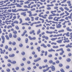 AMACO Purple Crawl ceramic glaze