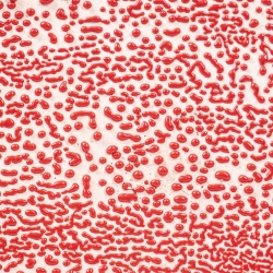 AMACO Red Crawl ceramic glaze