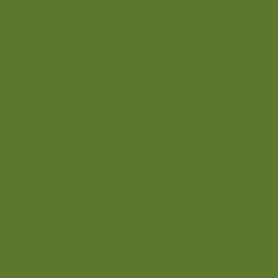 Avocado Green 