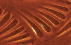Amaco, Potter's Choice: Deep Sienna Speckle 