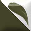 Dark Olive 