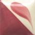 Bright Wine 