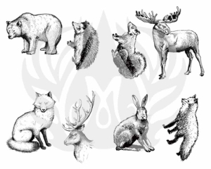 Woodland Animals 